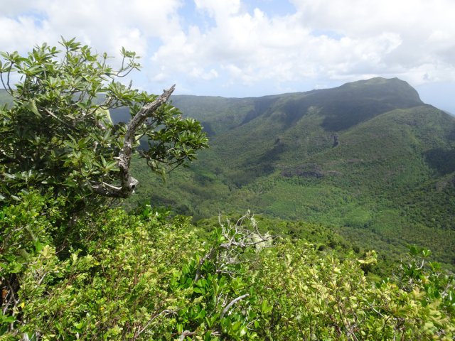 De beaux panoramas sur les sommets depuis les trouées dans la végétation
