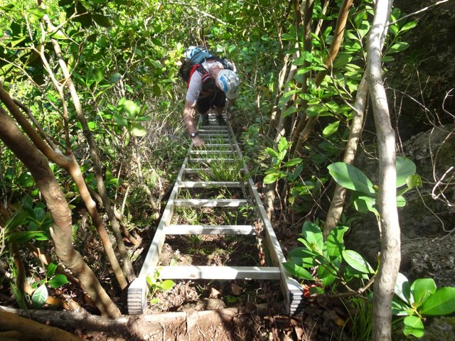 Après la chaîne et avant les cordes, l'échelle sécurise