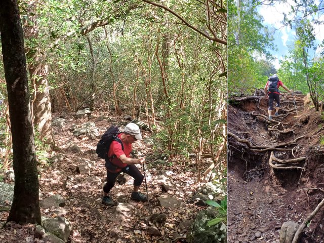 Les pierres obligent également à regarder où poser les pieds