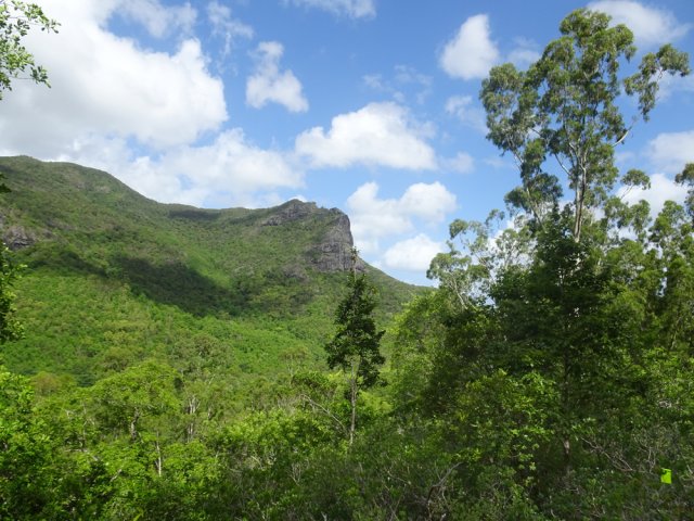 De l'autre côté de la vallée, le Morne Sec domine la grande forêt