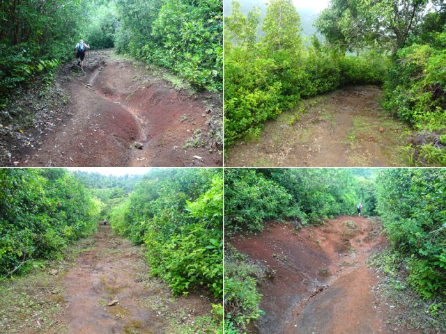 Le sentier rencontre le Machabée Trail, une large piste de terres rouges ravinées et glissantes