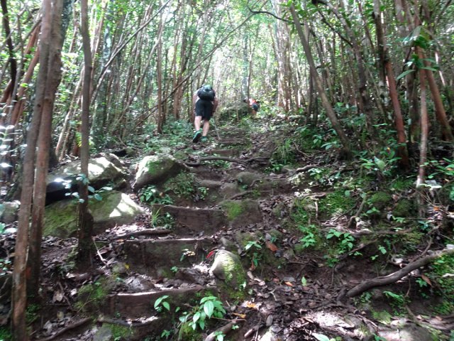 La montée sans lacets est éprouvante