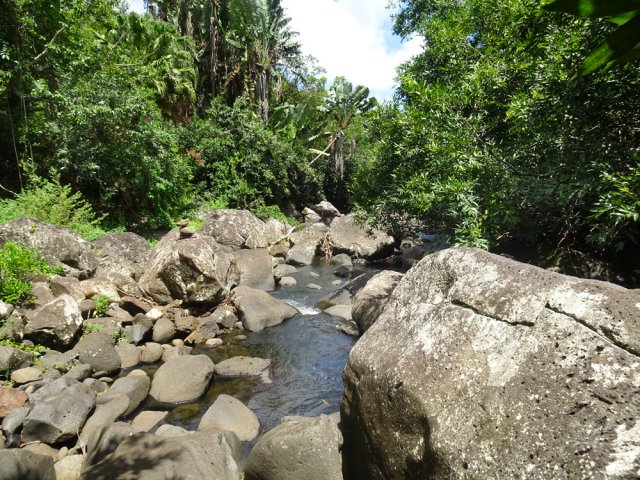 Reprendre le chemin inverse