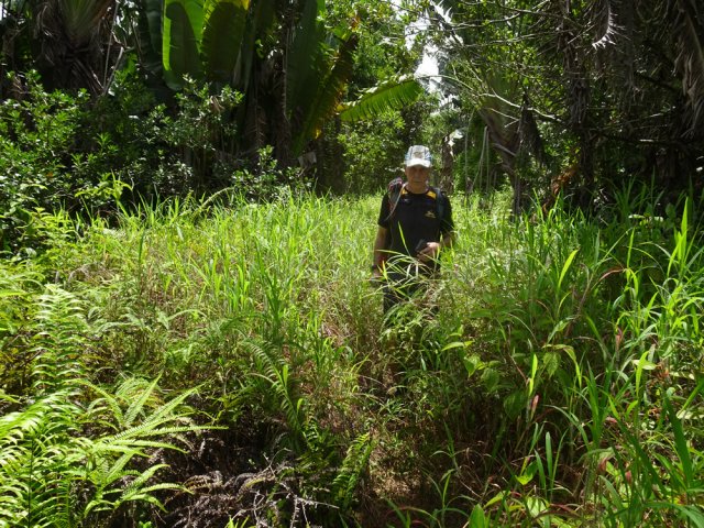 Ne pas manquer le sentier partant sur la droite vers le barrage