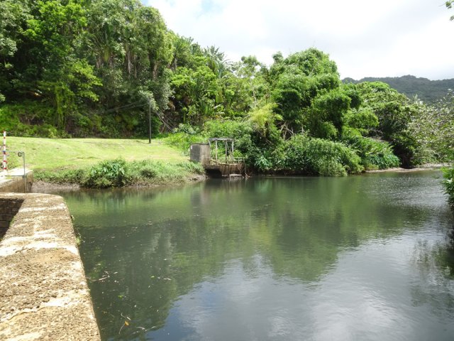 Une petite route de maintenance arrive sur la rive droite