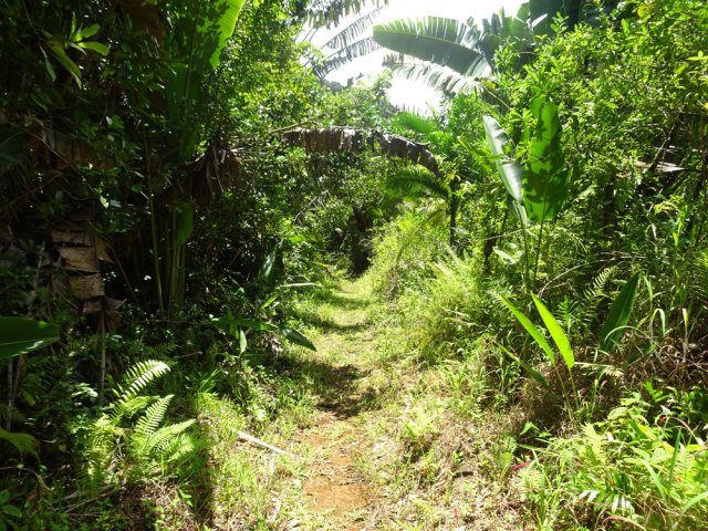 Le sentier tourne à droite puis descend en direction de la rivière