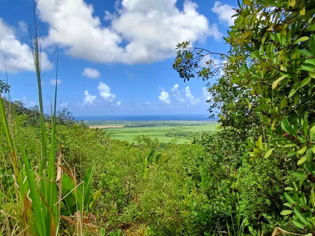 Un point de vue sur la mer depuis une trouée