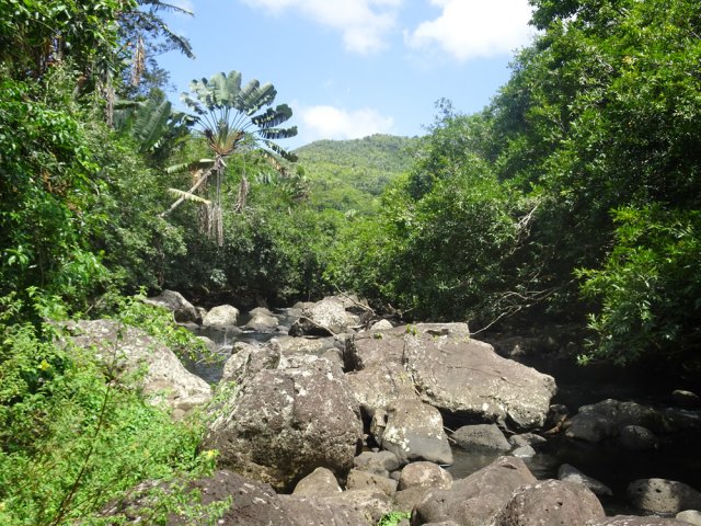 Une idée de la rivière encombrée de roches