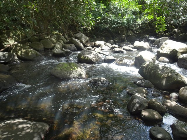 Remonter sur la berge en direction de la chute d'eau