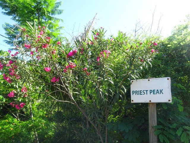 Bonnes indications au départ de la petite route