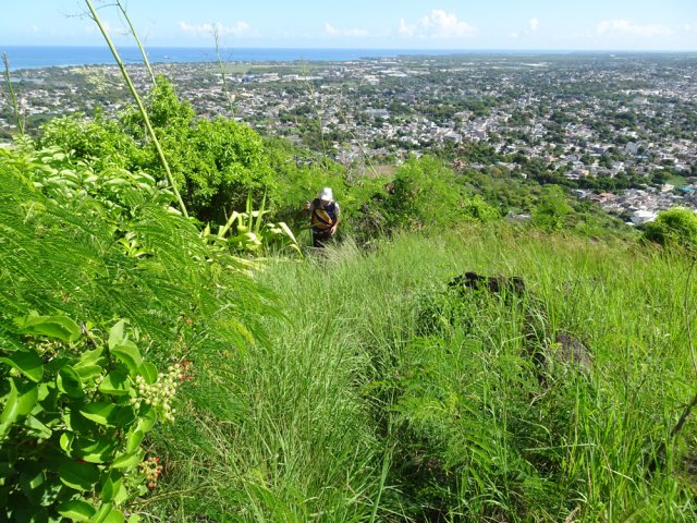 La trace se voit malgré les hautes herbes
