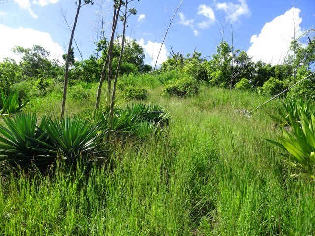 Le dernier hectomètre