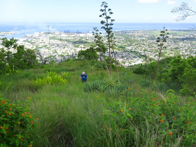 La fin de la montée sur un sentier encore facile à suivre
