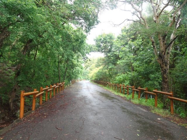 Guetter les singes en montant sur cette route calme