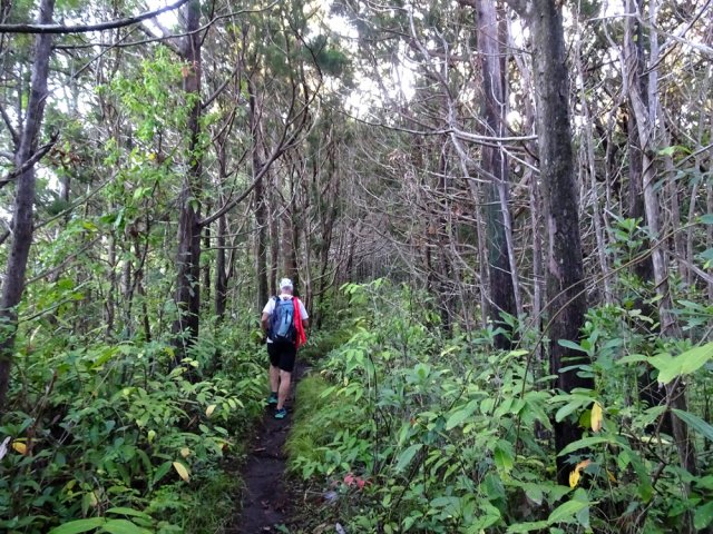 Difficile de s'imaginer être à Maurice avec cette odeur de conifère