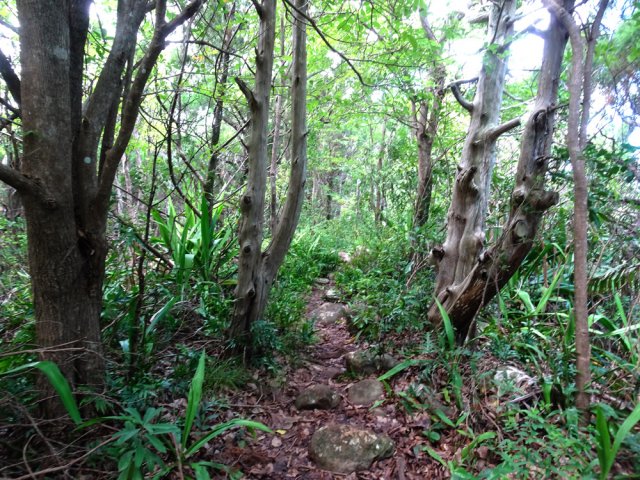 Quelques roches obligent à lever le pied
