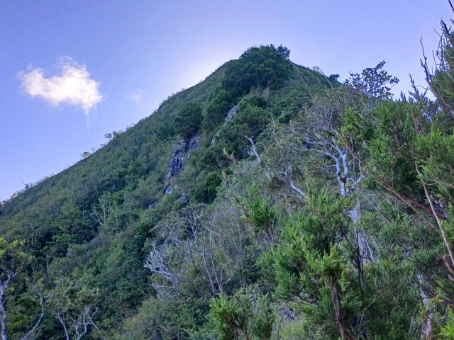 On aperçoit le sommet qui laisse deviner la pente qui arrive