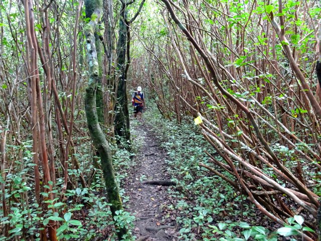 Profiter des derniers tronçons en faible pente