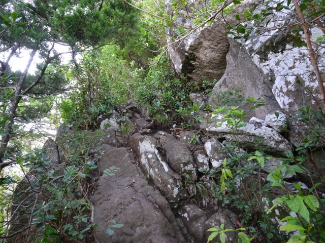 Les premiers rochers imposent de randonner à quatre pattes