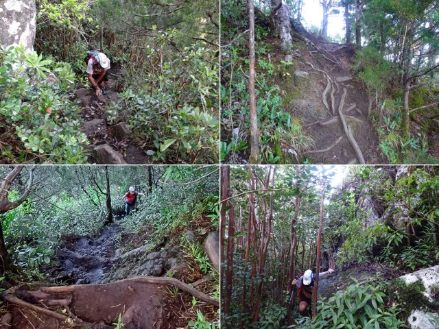 Les raidillons se multiplient, ralentissant la marche