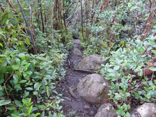 Le sentier est de plus en plus rocheux, boueux et étroit à l'approche de celui du belvédère