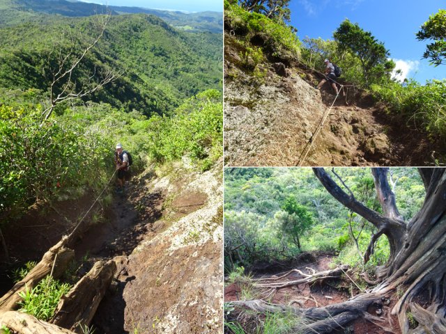 La pente est si forte et glissante que ces cordes rassurent