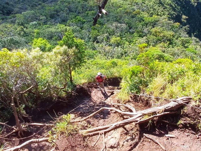 Les racines ont été mises à nu par les milliers de passages de randonneurs