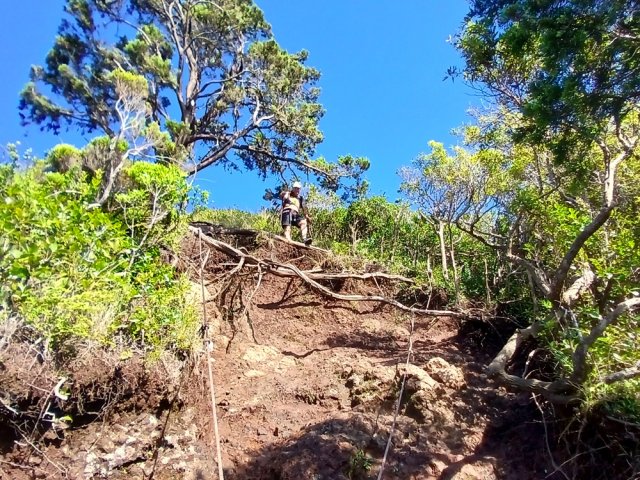 Les racines aident autant que les cordes par endroits