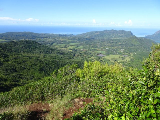 Vue sur les élevages de cerfs au pied du Piton du Fouge