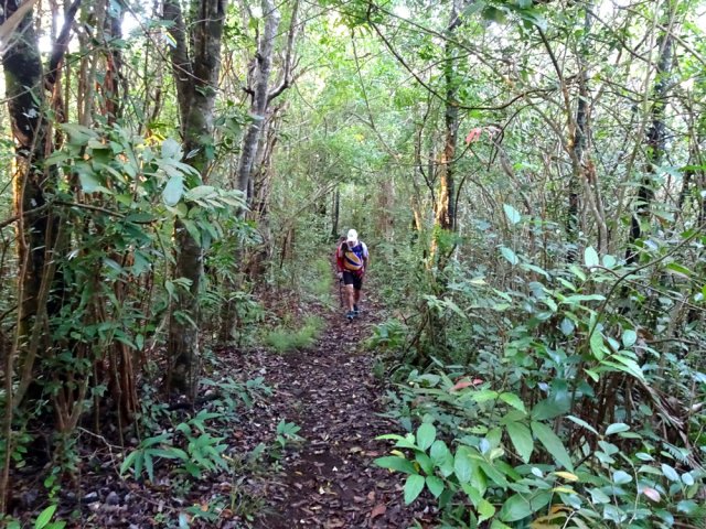 Sentier large et bien entretenu