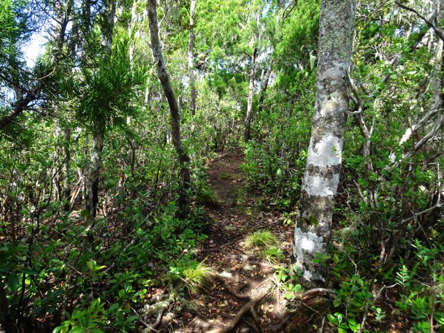 Pas de fortes pentes dans cette première partie de montée