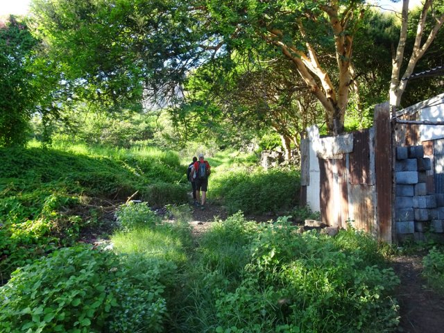 Départ entre chiens bruyants et masures