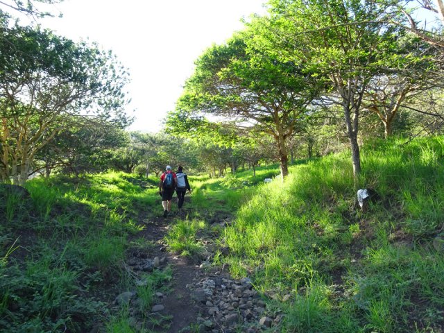 On retrouve très vite la campagne verdoyante