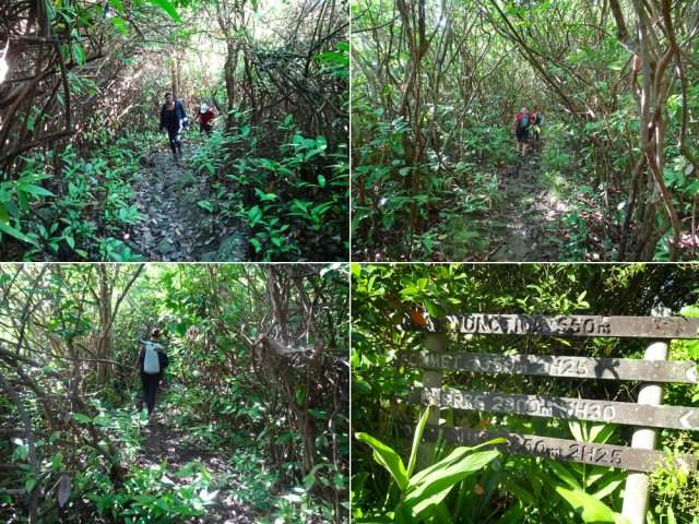 D'autres portions de la montée et un panneau intermédiaire
