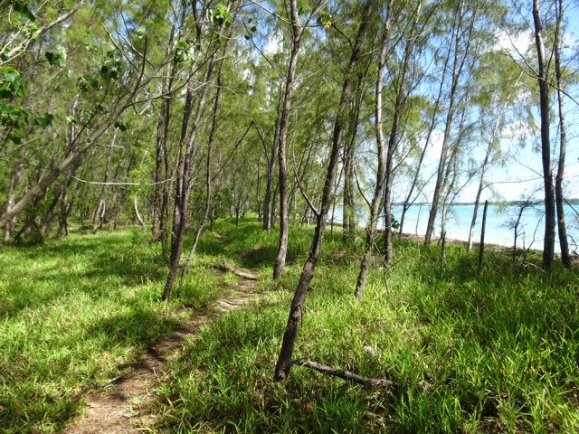 Là encore, un sentier littoral permet de glaner de l'ombre
