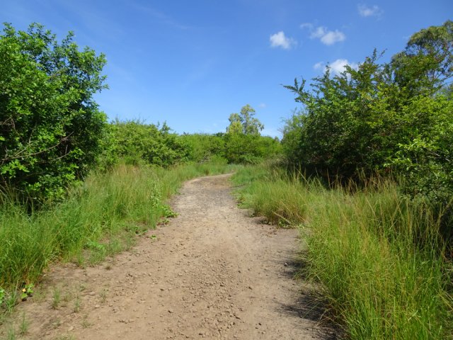 Large chemin totalement plat