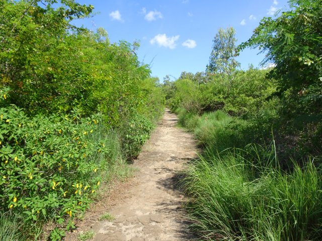 La piste se transforme en sentier