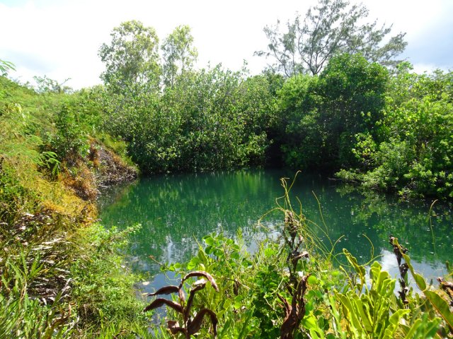 Le coin est recherché pour sa sérénité