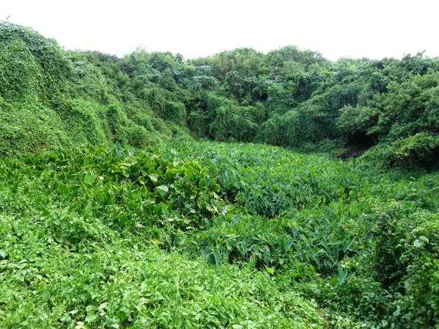 Un dernier très marécageux avant de faire demi-tour