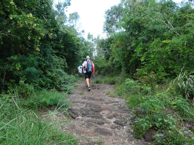 L'allée empierrée menant à la grotte