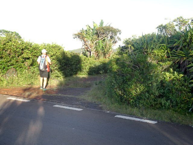 Bifurcation facile à trouver