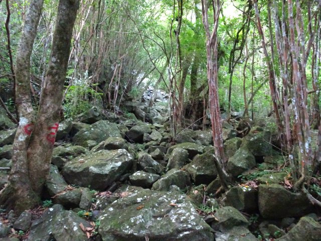 Ne pas perdre du vue les traces de peinture même dans le lit du ruisseau à sec