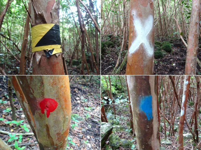 Toutes les couleurs semblent avoir été utilisées pour éviter de s'égarer