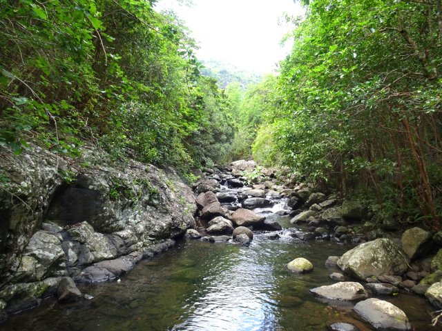 Le sentier longe la rivière jusqu'au croisement des parcours