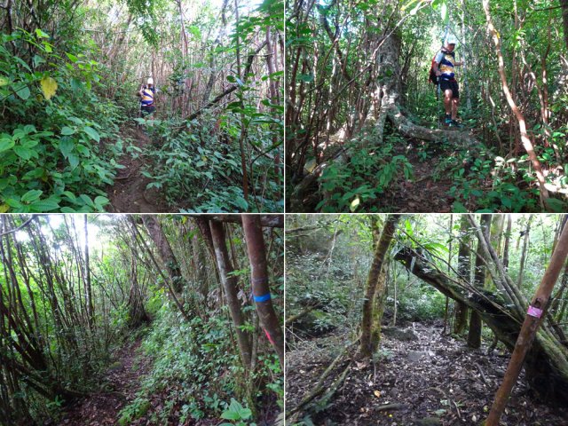 La descente débute sur un sentier étroit et assez technique