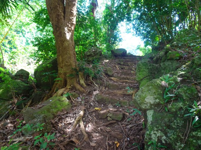 Quelques marches pour faciliter la montée