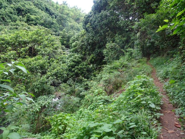 Reprendre le sentier en direction de l'entrée