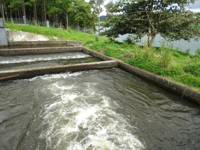Les derniers mètres du long canal souterrain