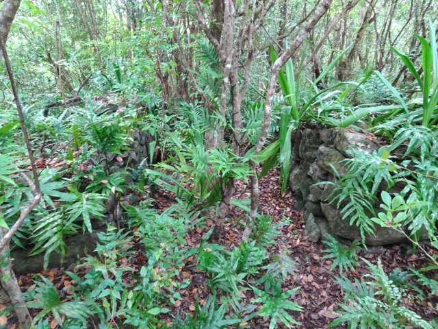 Des ruines de ce qu'on appelait des forts, à l'époque des batailles entre français et anglais