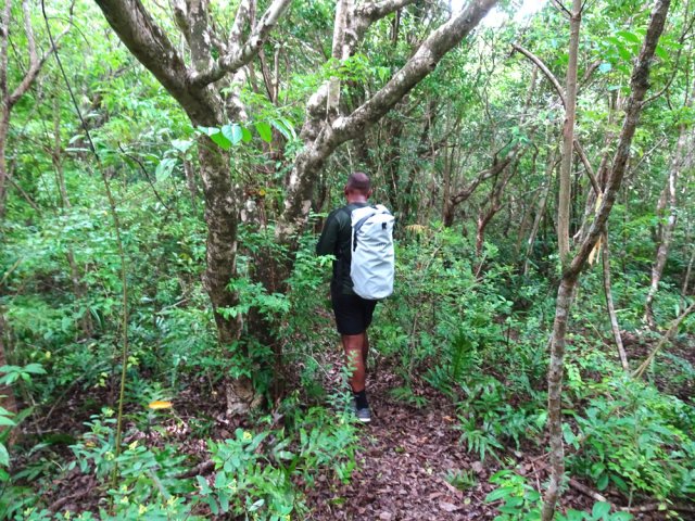 Le sentier est à nouveau facile à suivre